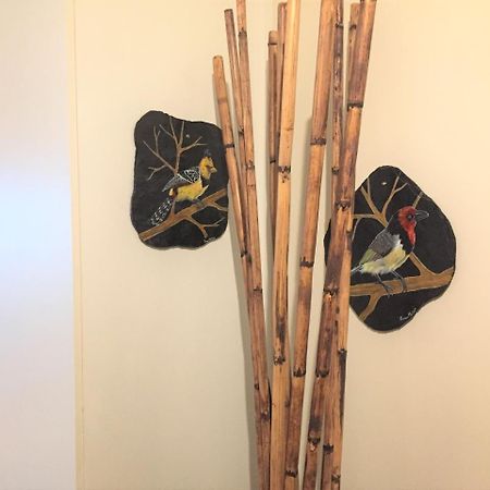 Lydall Wild Tranquil Garden Suites 约翰内斯堡 外观 照片