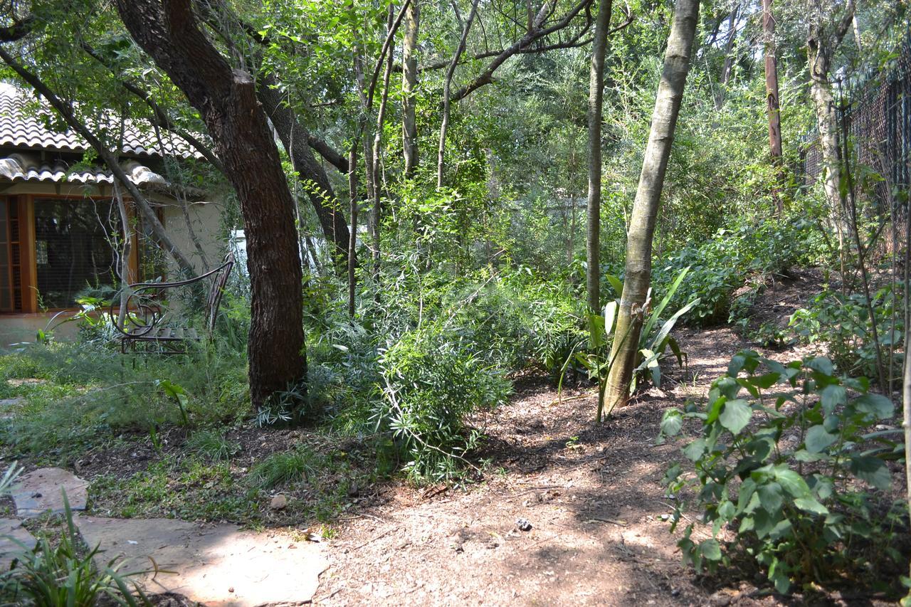 Lydall Wild Tranquil Garden Suites 约翰内斯堡 外观 照片
